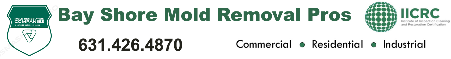 Bay Shore Mold Removal Pros