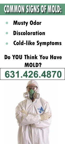Bay Shore Mold Remediation Contractor